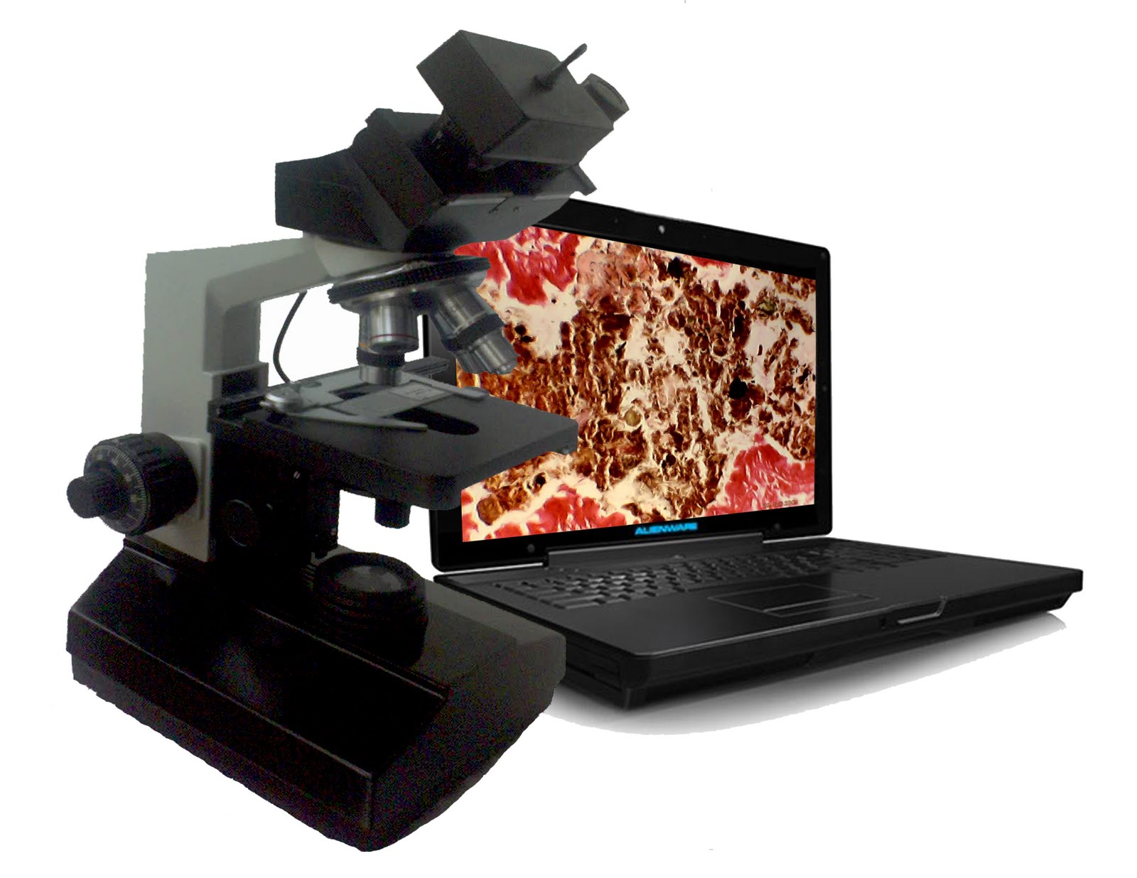 mikroskop elektron Mitra Digital